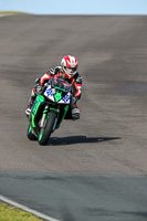 PJ-Motorsport-2019;anglesey-no-limits-trackday;anglesey-photographs;anglesey-trackday-photographs;enduro-digital-images;event-digital-images;eventdigitalimages;no-limits-trackdays;peter-wileman-photography;racing-digital-images;trac-mon;trackday-digital-images;trackday-photos;ty-croes